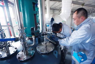 辽宁药联 项目建设与产品研发共振，旅游软件创新驱动企业快步发展